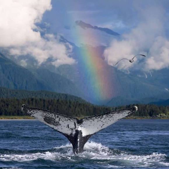 Meet your Posher, Laura - Picture 1 of 1